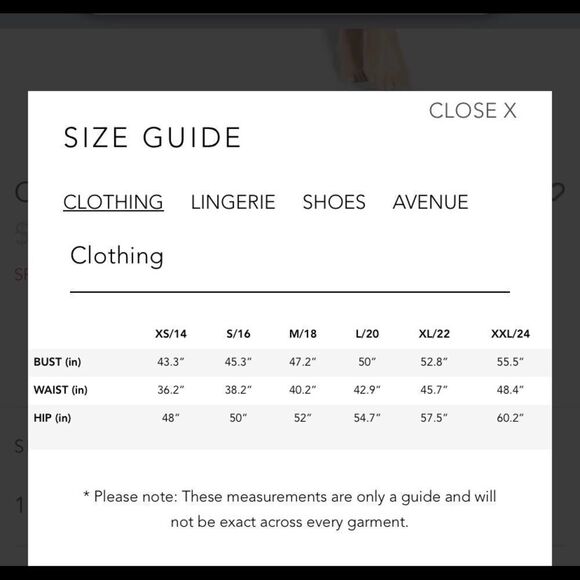 NWT City Chic Cavallo Plus Size Bikini Briefs - Picture 9 of 9